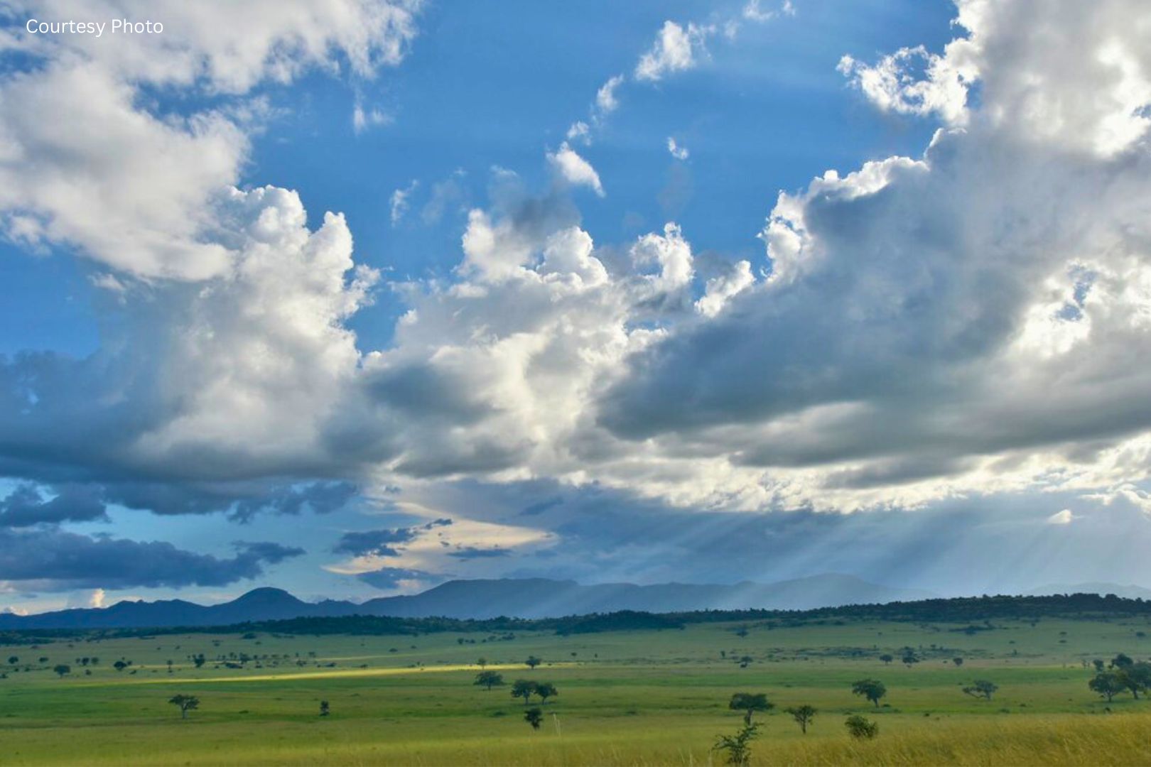 Kakine Campsite In Kidepo